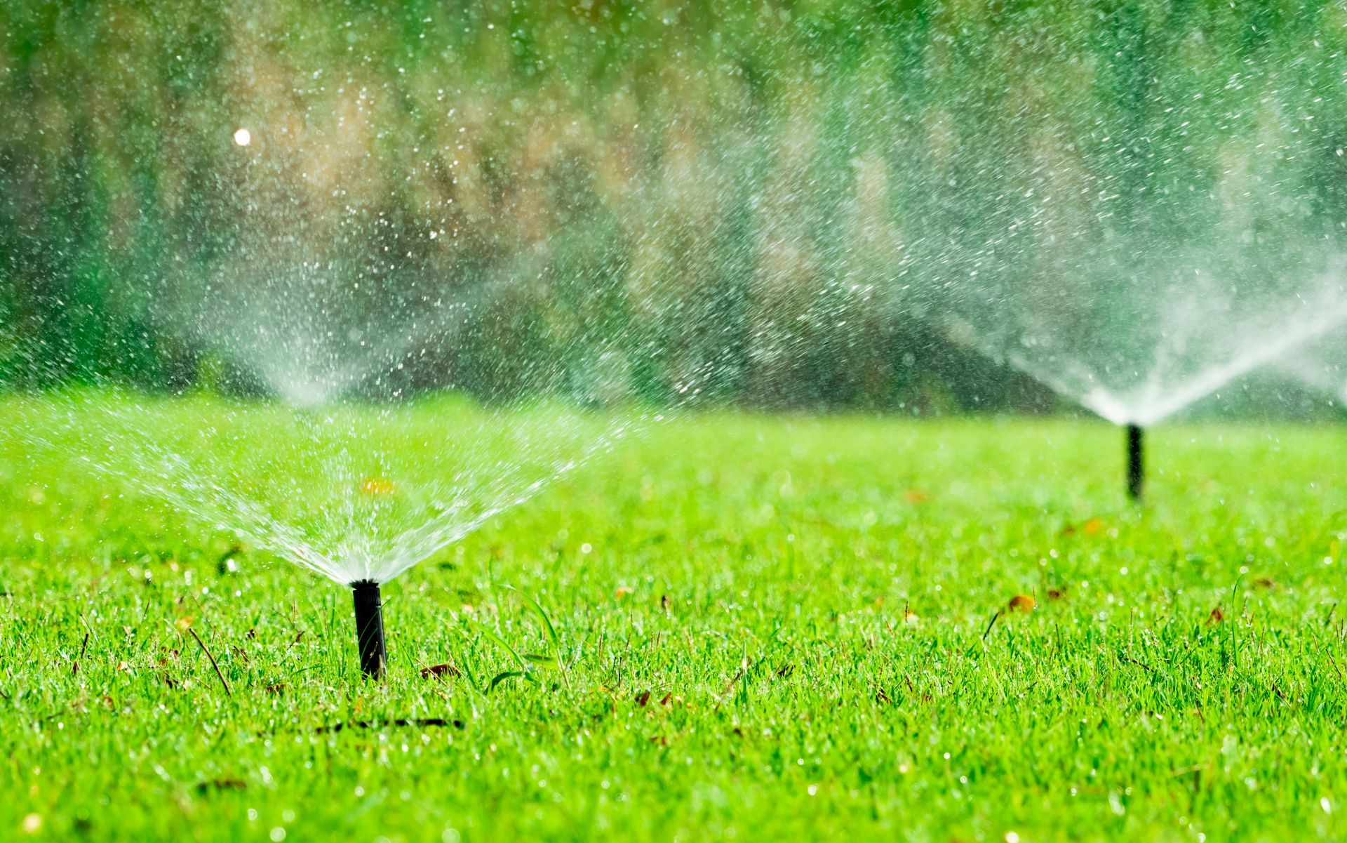Garden sprinklers spraying water over a lush green lawn in soft daylight