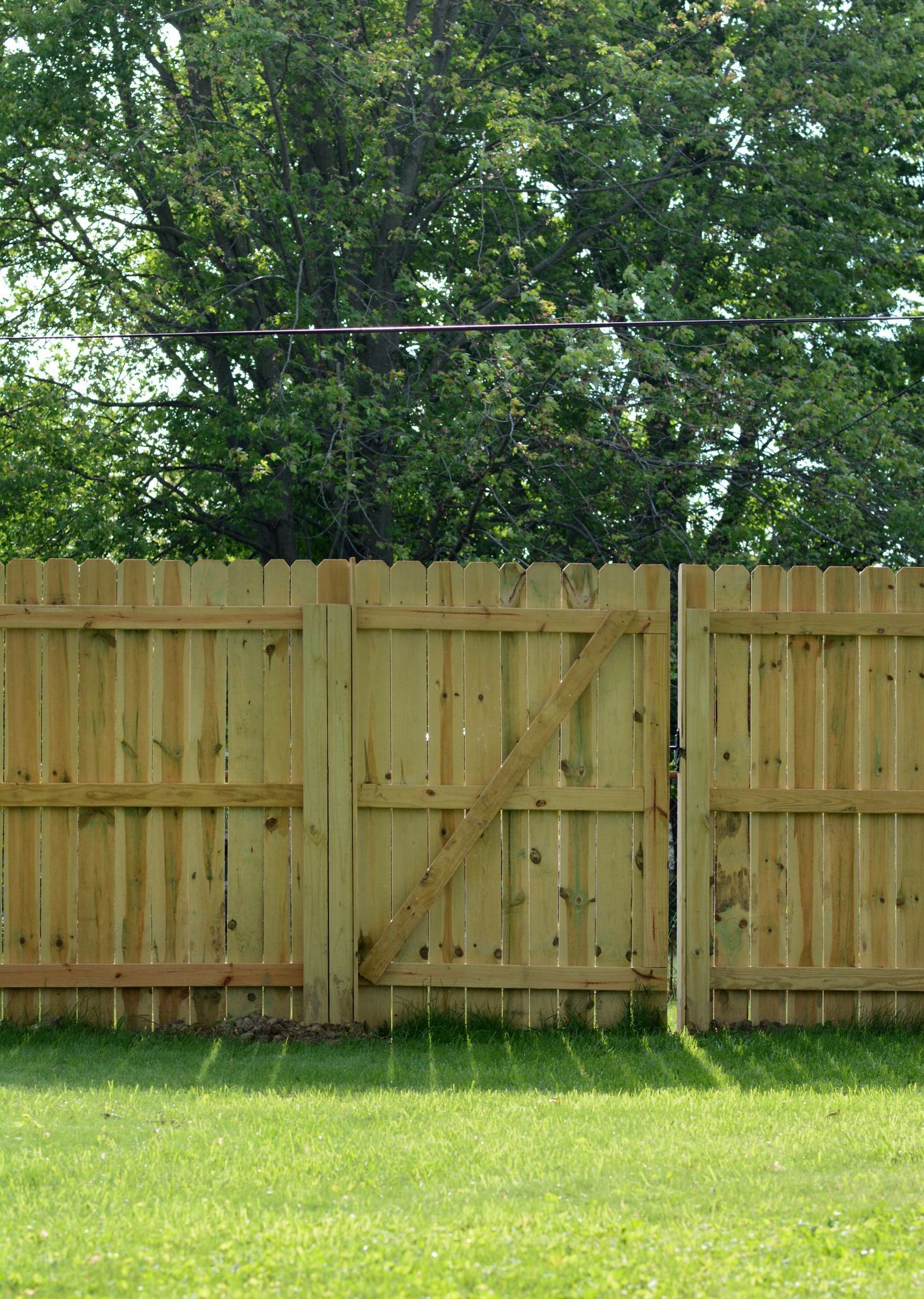 Wooden fence and gate with a green grassy lawn and trees in the background.