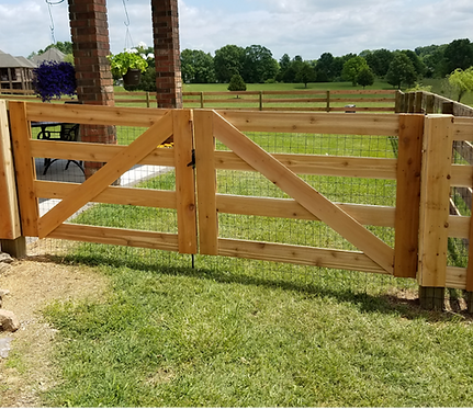 Wooden gate with diagonal supports, open to a grassy yard and distant trees.