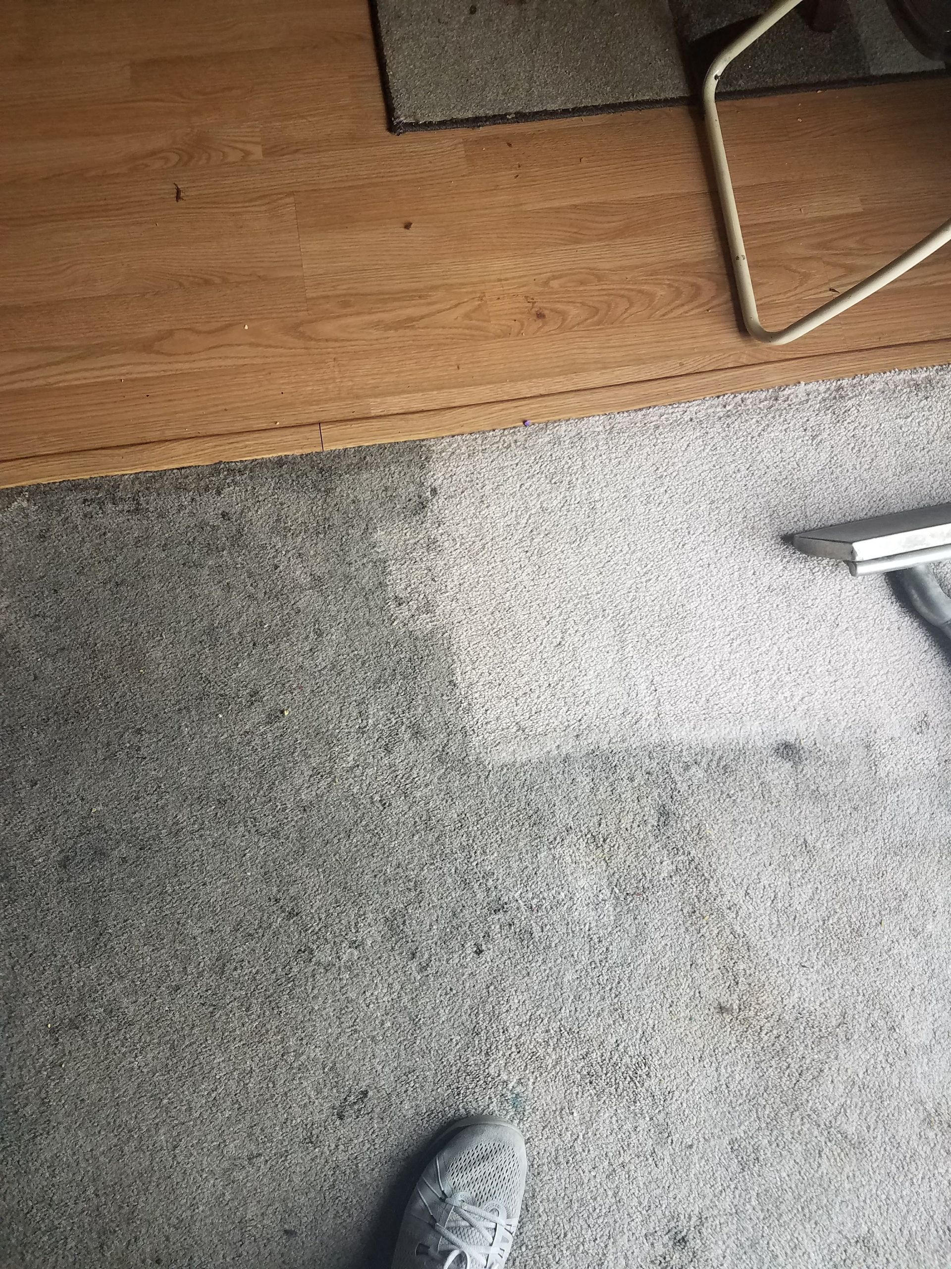 A person is standing on a carpet next to a wooden floor.