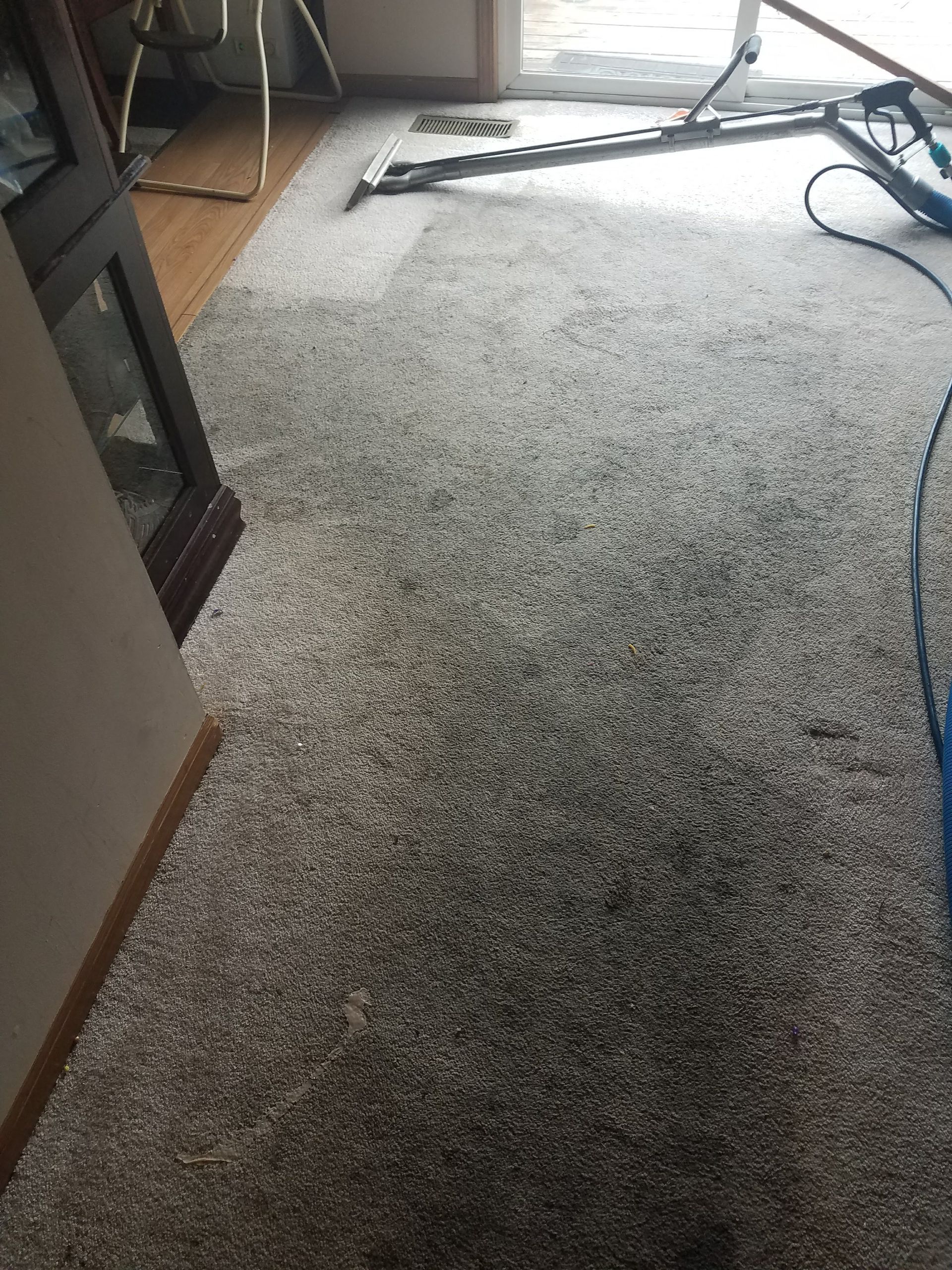 A carpet is being cleaned in a living room with a vacuum cleaner.