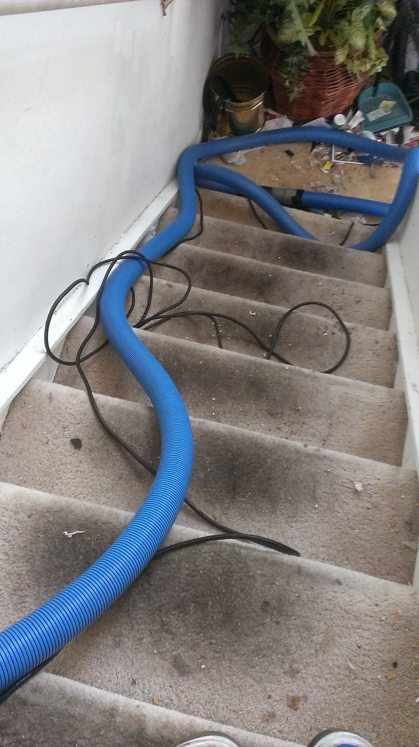 A blue hose is sitting on top of a set of stairs.