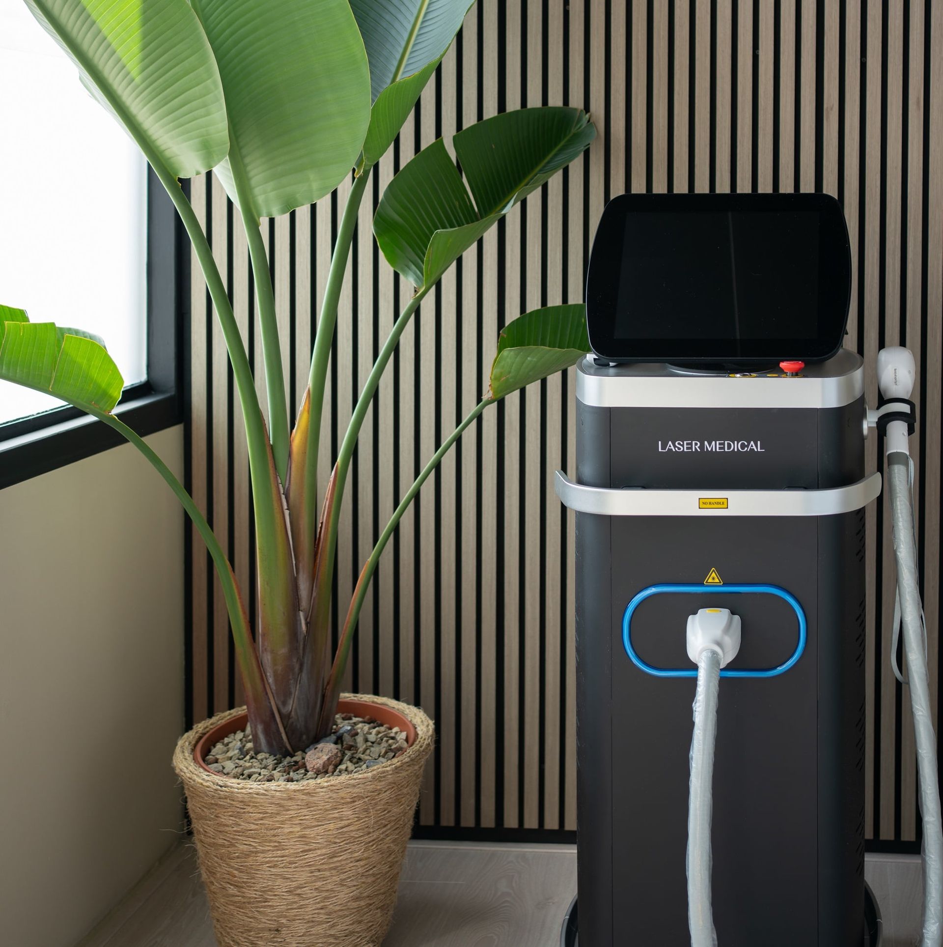 illustratie van een laserapparaat voor een wand met plant