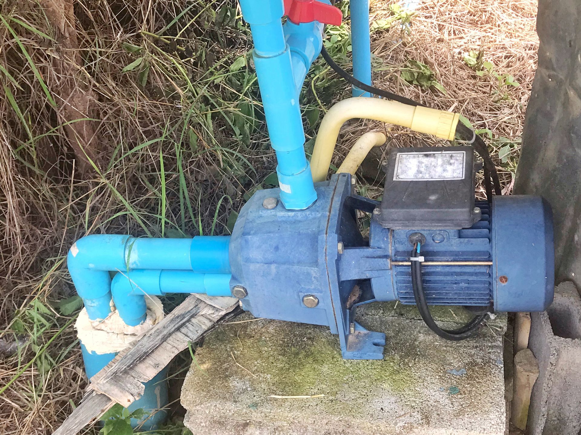 A blue water pump is sitting next to a tree.