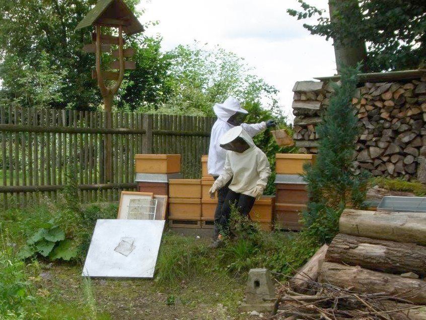 Ferienhof Alte Försterei, Imker und Bienenstock