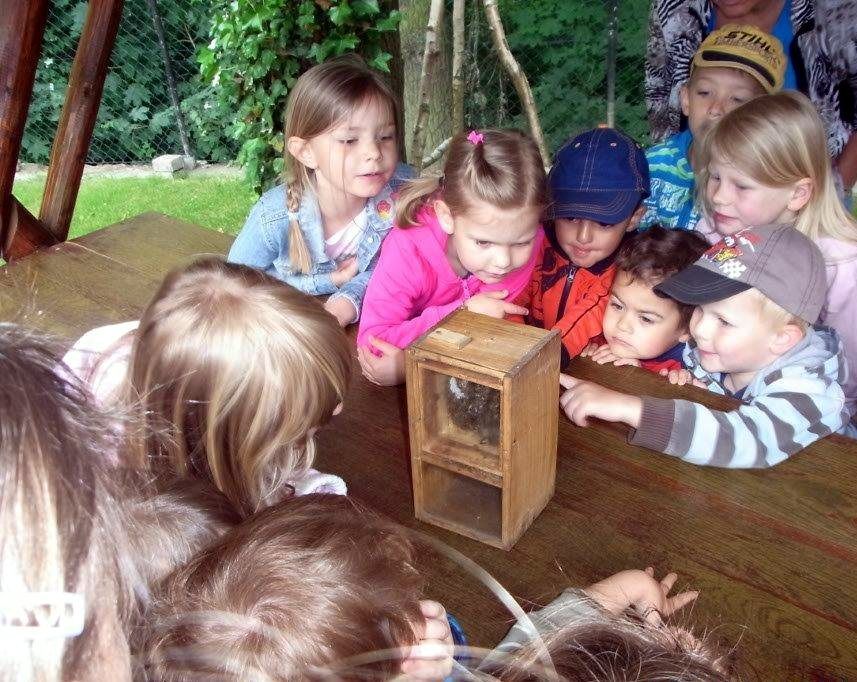 Ferienhof Alte Försterei, Kinder mit Bienenstock