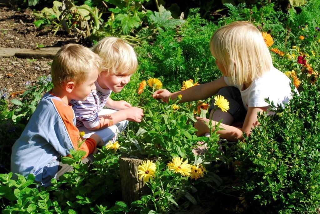 Ferienhof Alte Försterei, Kneipp Anwendung Kinder & Kräuter