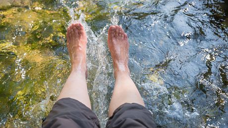 Ferienhof Alte Försterei, Kneipp kaltes Wasser am Bach
