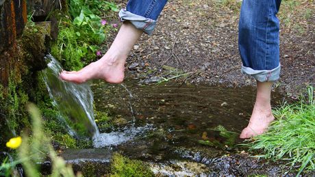 Ferienhof Alte Försterei, Kneipp kaltes Wasser