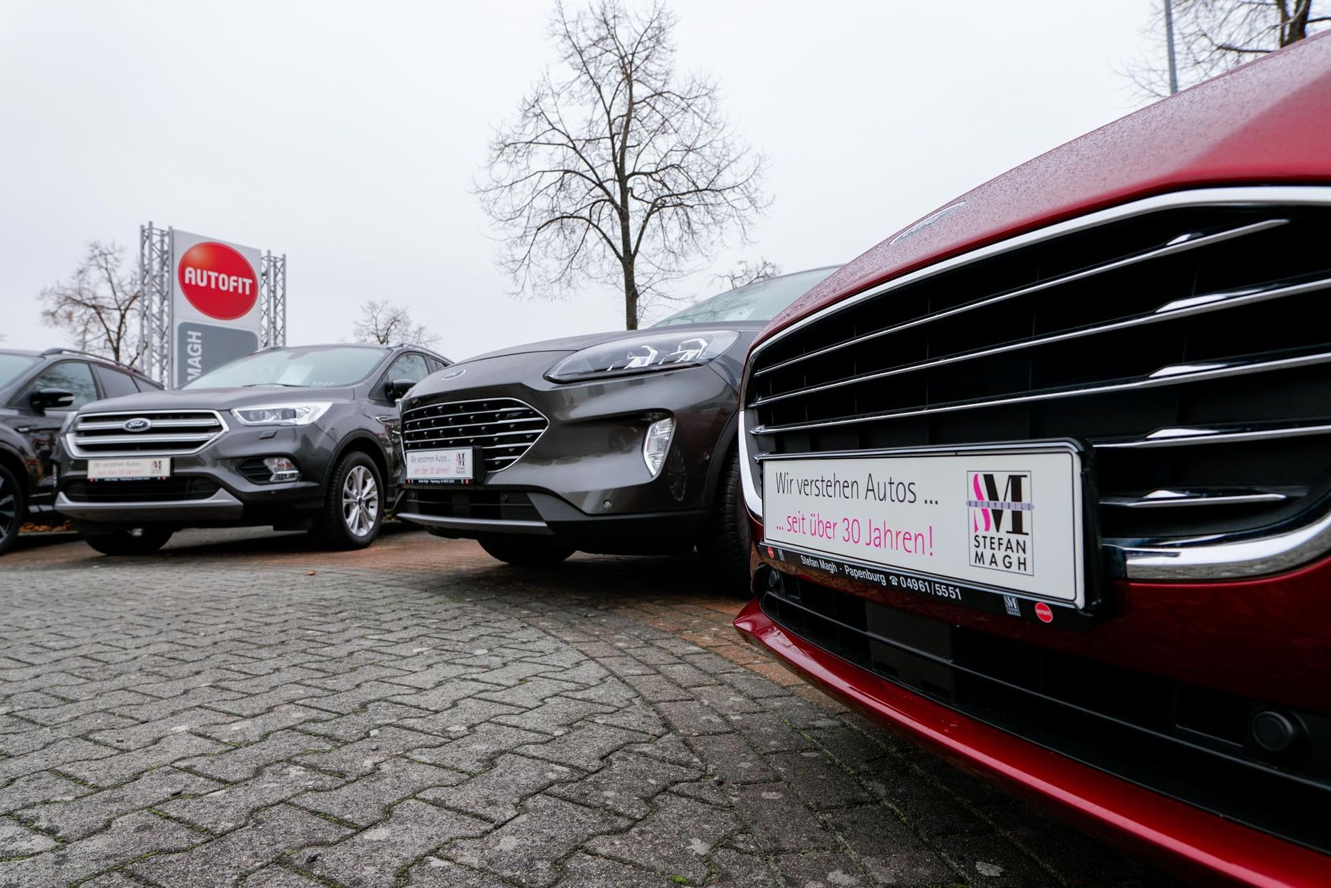Vor einem Autohaus parkt eine Reihe Autos.