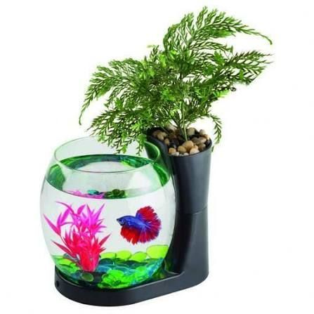 Blue Planet Betta Garden Aquarium Black