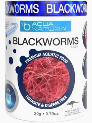 FD blackworms 20g