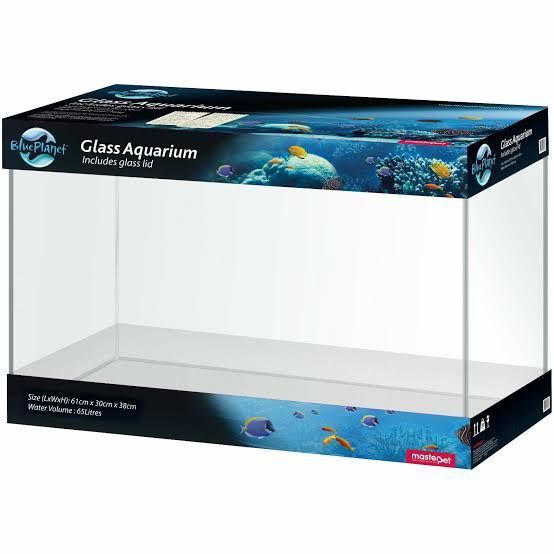 Blue Planet Glass Aquarium (65Lt 61 x 30 x 38 cm )
