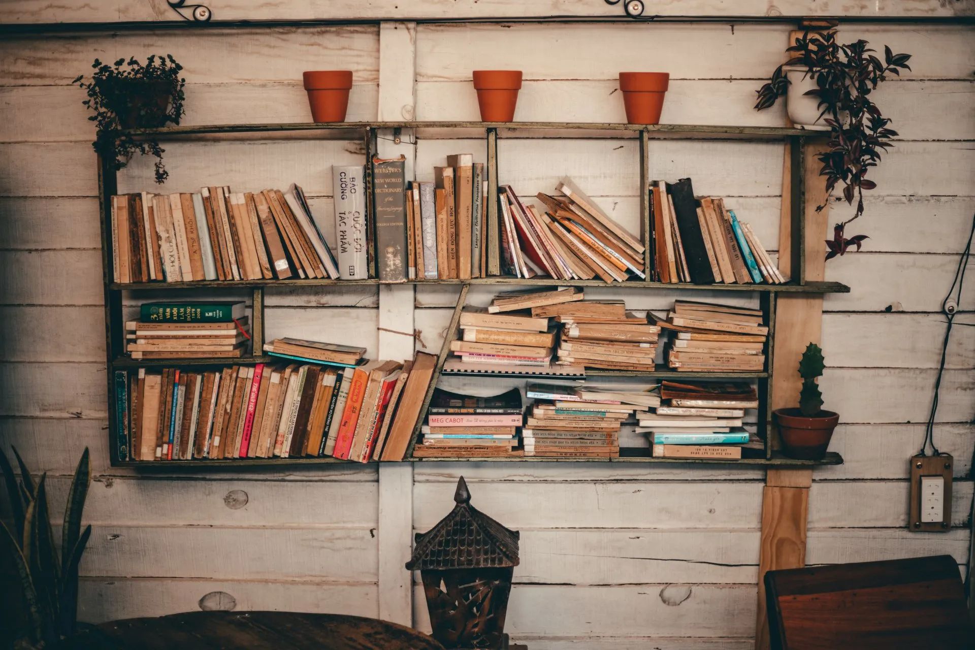 Shelf of books