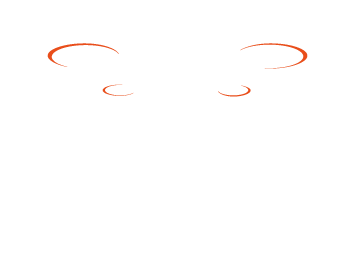 SAM DRONES