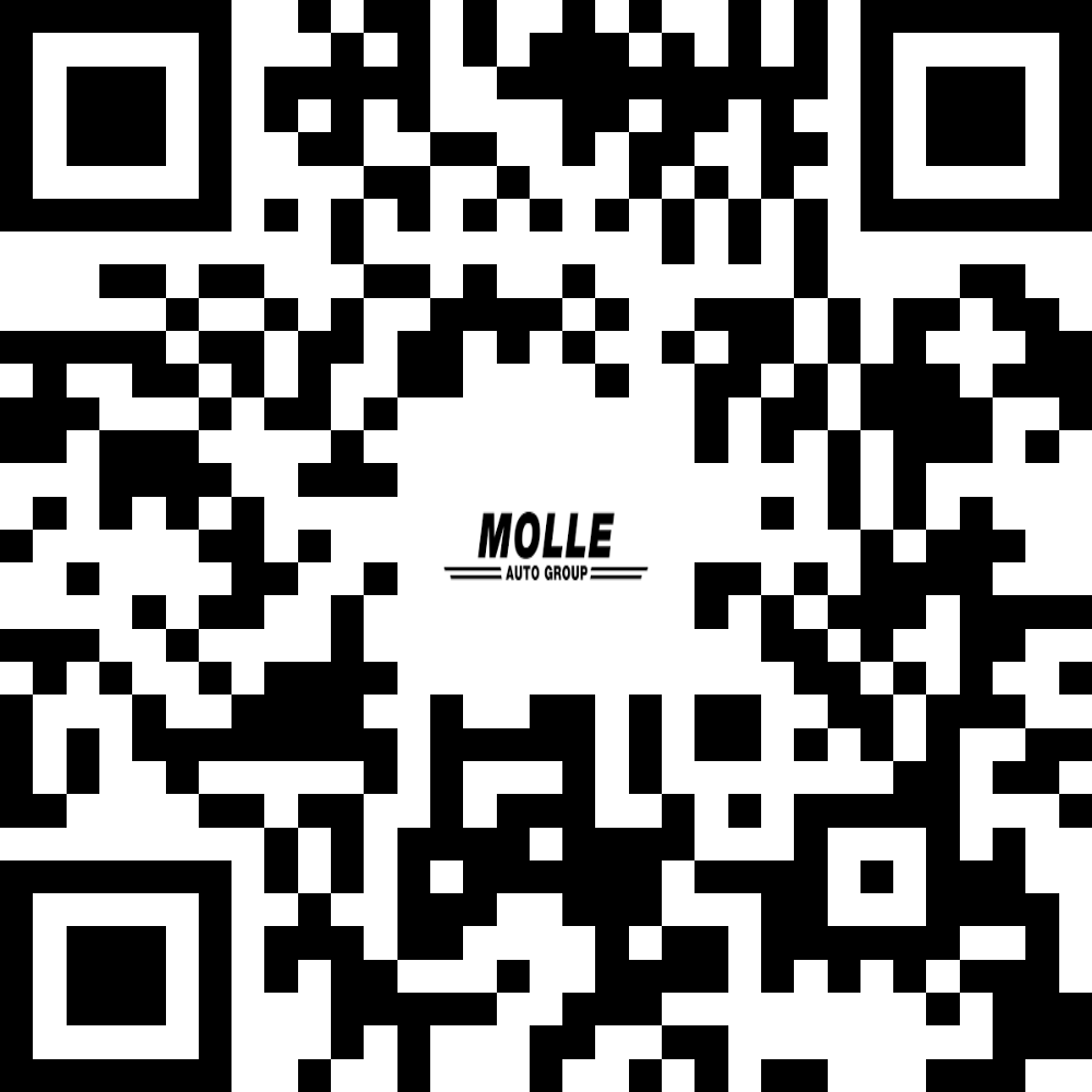 Black-and-white QR code with “MOLLIE” logo in the center
