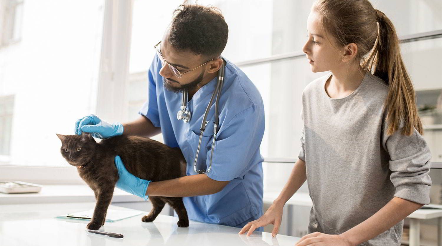 HOSPITAL VETERINARIO CUMBRES