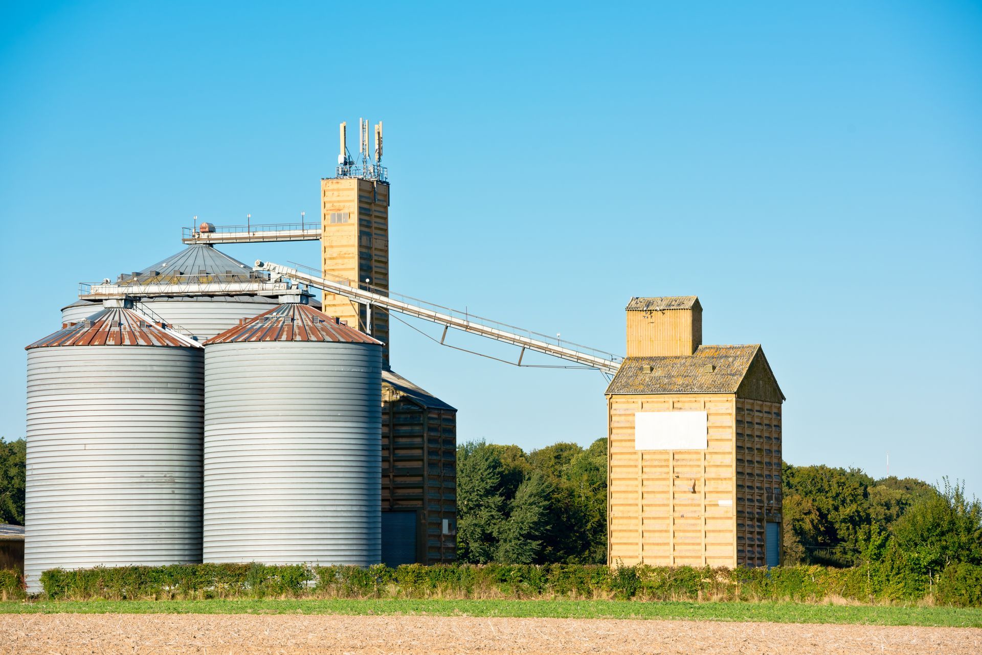 Commercial grain silo