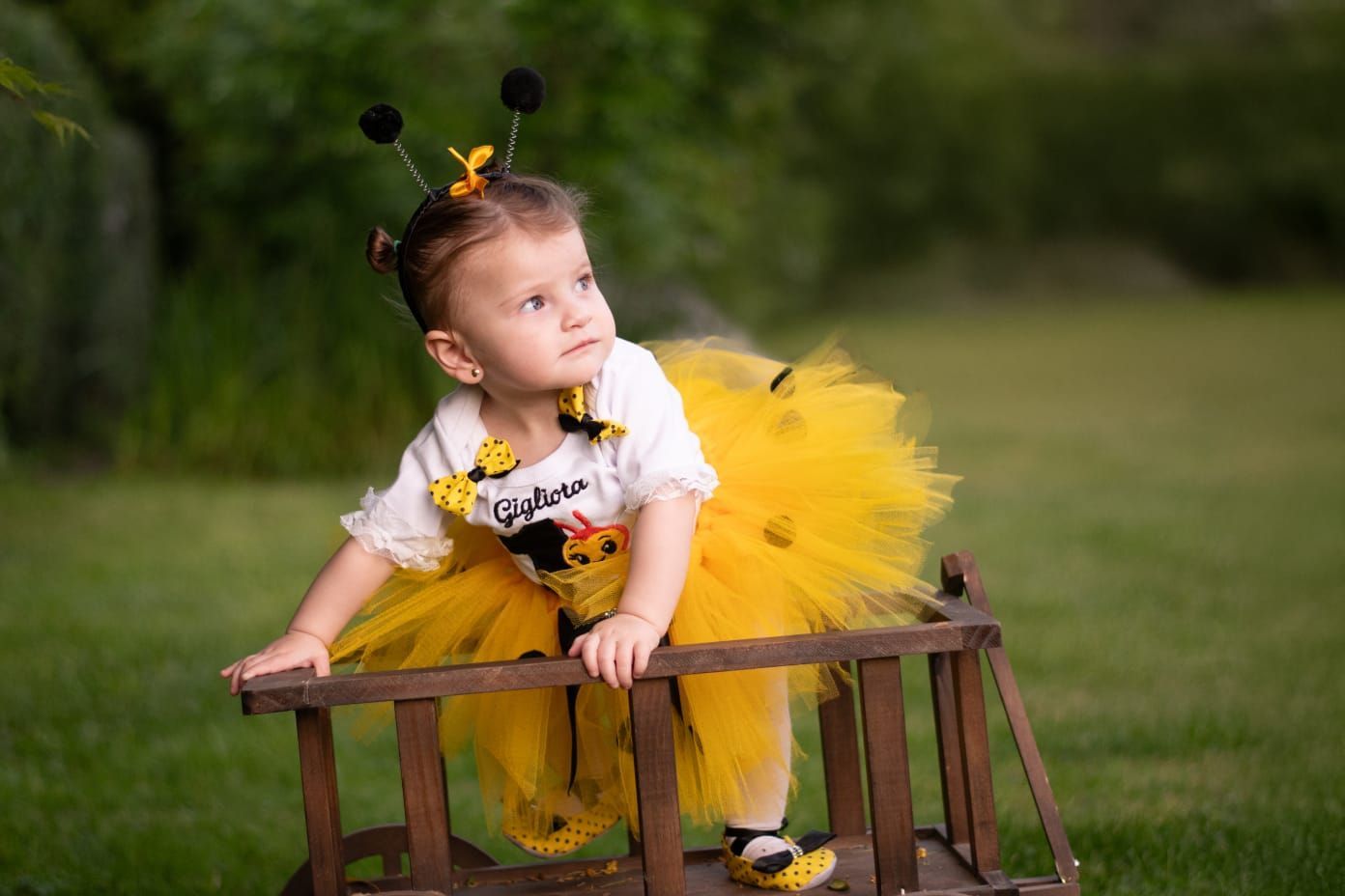Niña con un tutú amarillo y una diadema de abeja sentada en un banco de madera en un parque con césped, .