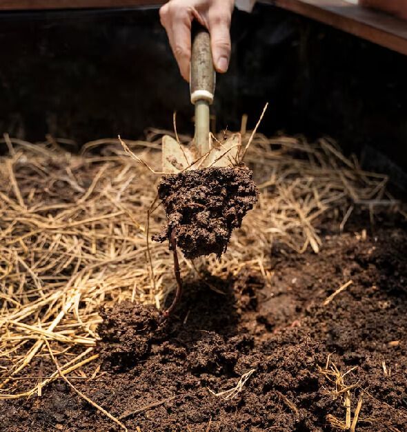 Fresh mulch installation creating dark uniform landscape beds with crisp lawn contrast in New Jersey