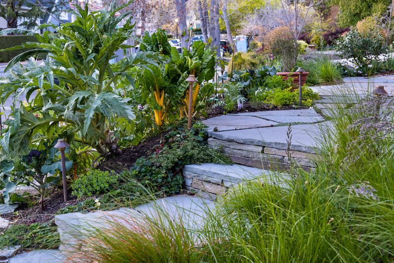 A stone walkway surrounded by plants and trees in a garden.