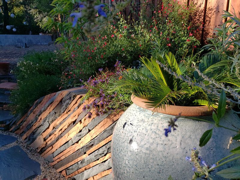 Two potted plants are sitting next to each other in a garden.