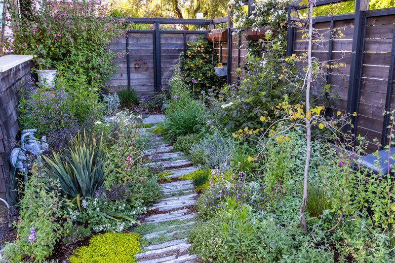 A garden with a wooden walkway surrounded by lots of plants and trees.