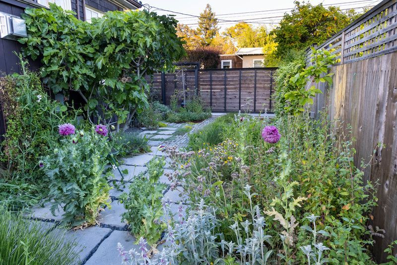 A backyard filled with lots of plants and flowers and a wooden fence.