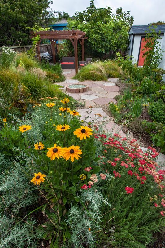 There are many different types of flowers in the garden.