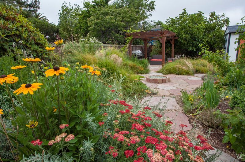 There are many different types of flowers in the garden.