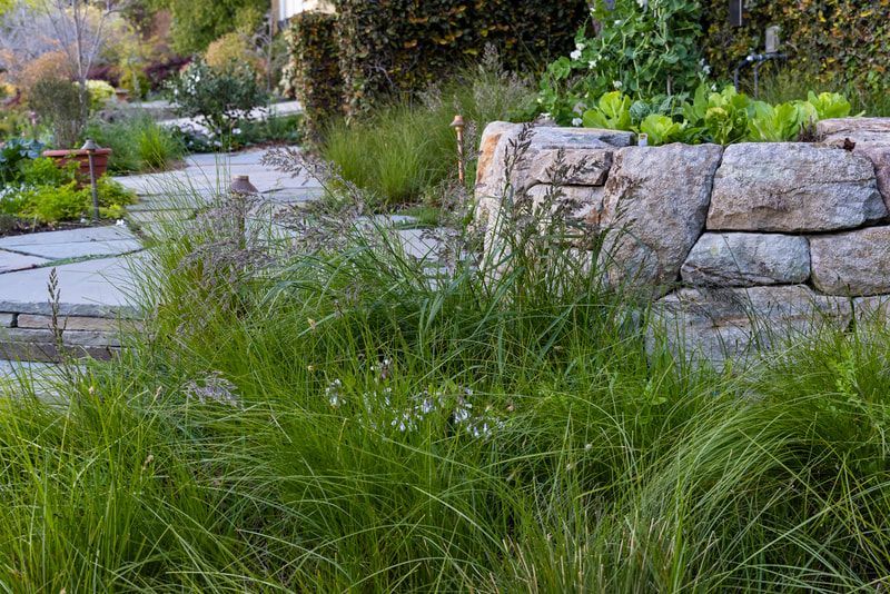A stone wall surrounded by grass in a garden.