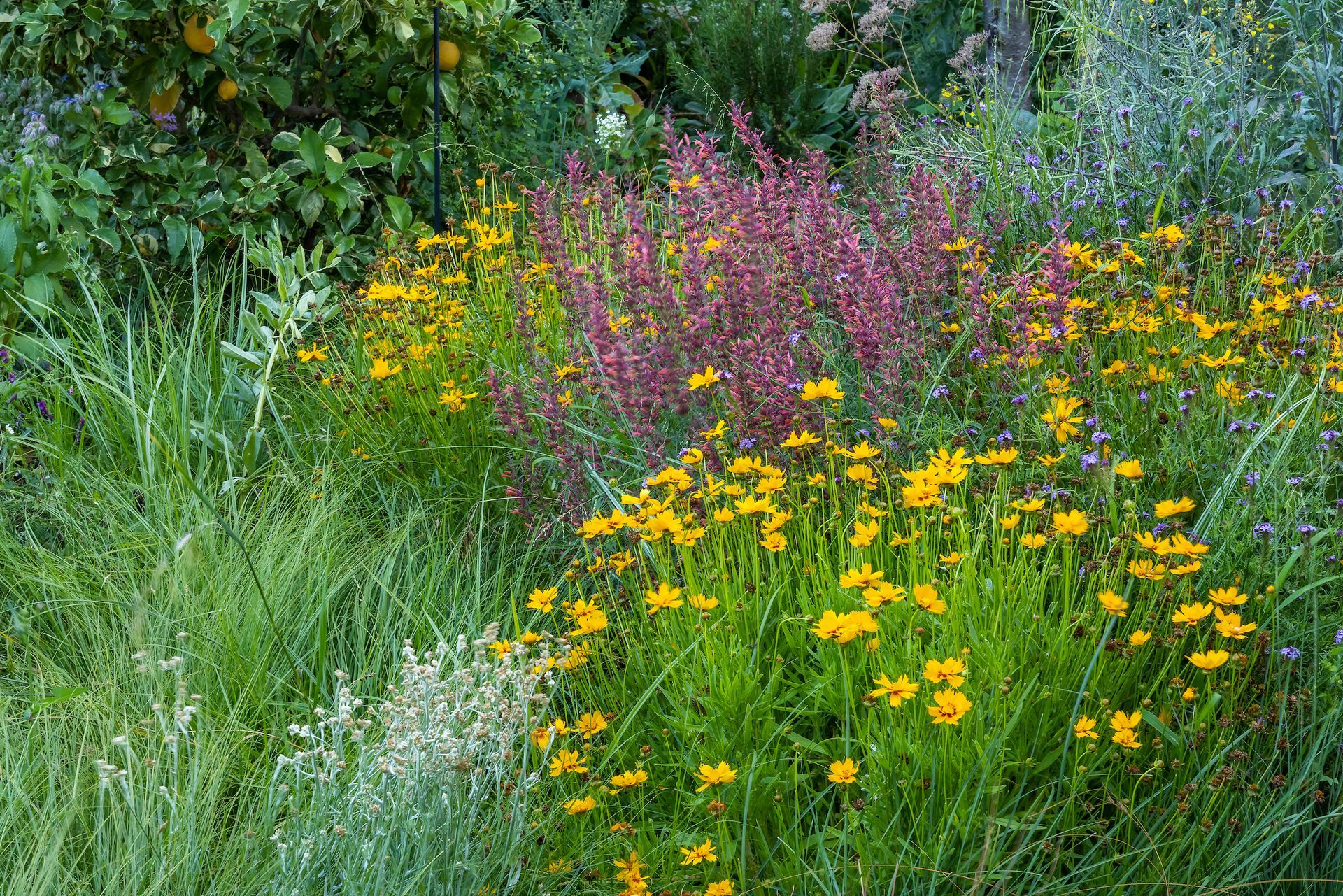 There is a path leading to a house in the middle of a garden.