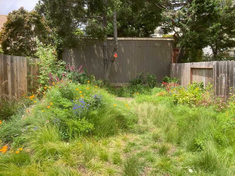 A backyard with a wooden fence and lots of grass and flowers.