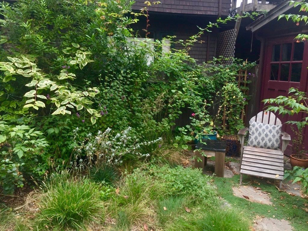 There is a chair in the middle of a lush green garden.