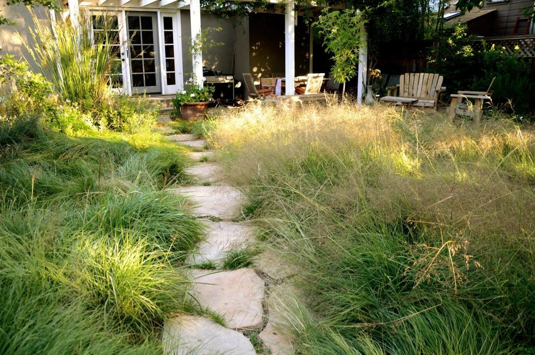 A stone path leading to a house surrounded by tall grass.