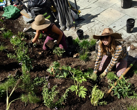 Two women wearing hats are working in a garden