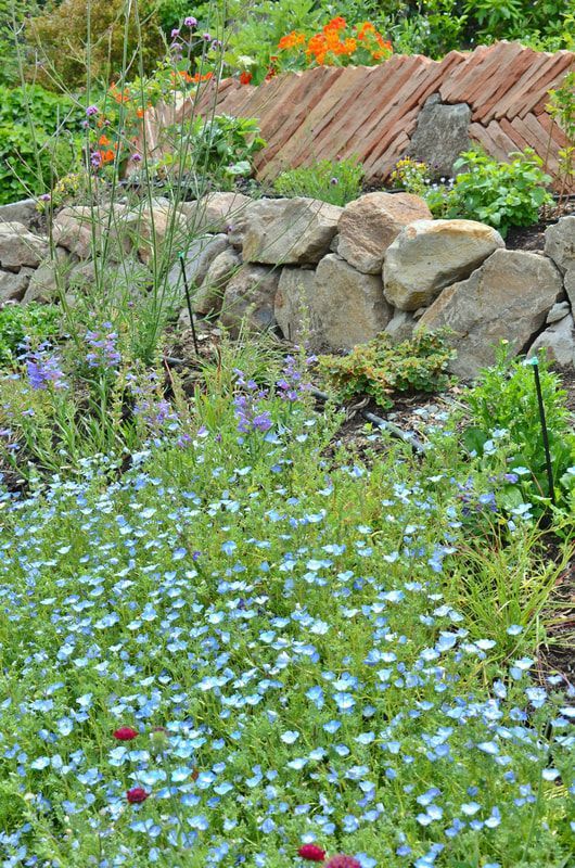 A garden filled with lots of flowers and rocks.