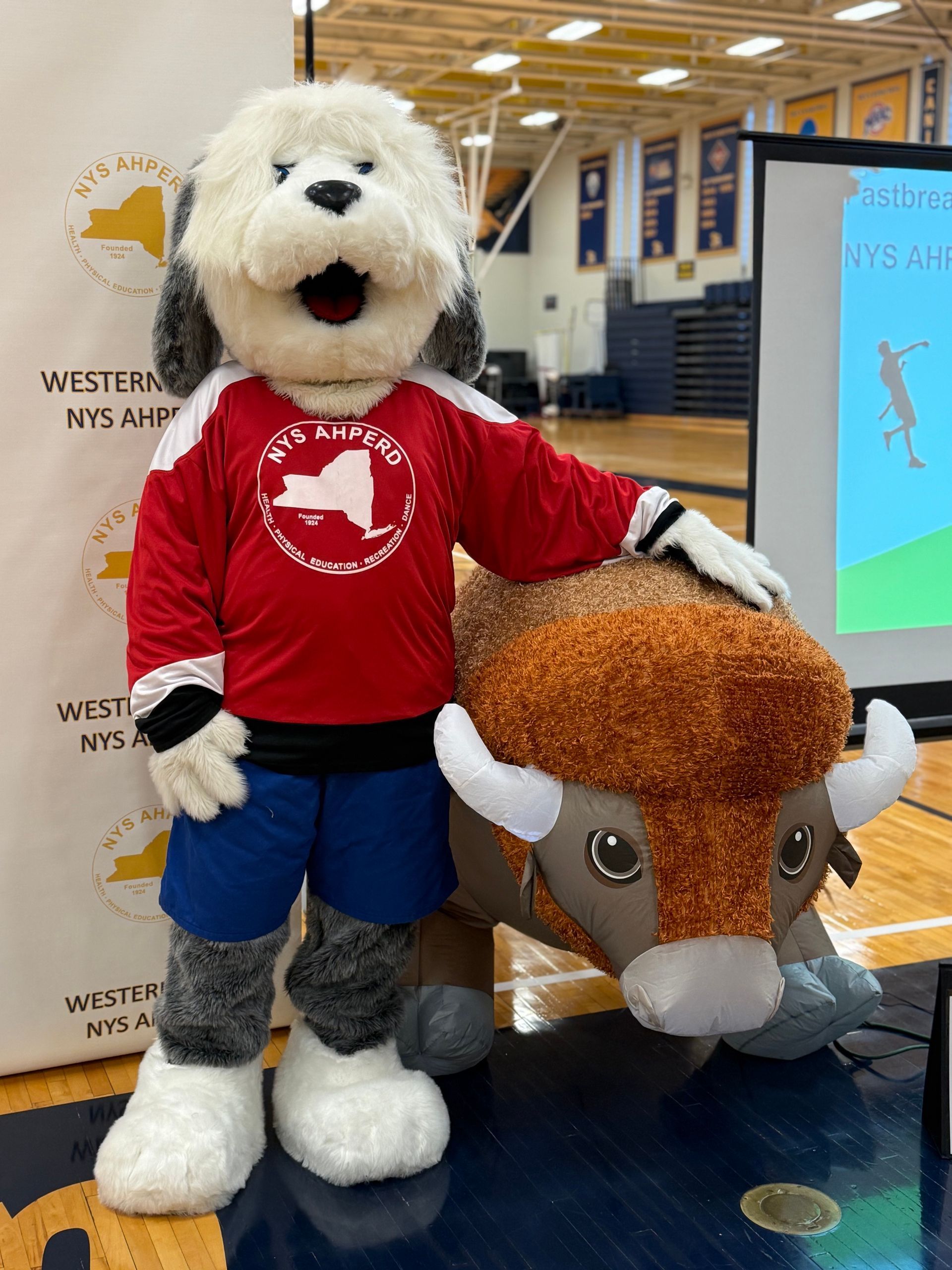 White dog mascot in red shirt and blue shorts standing beside a brown buffalo mascot in a gymnasium.