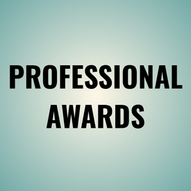 Black text reading “PROFESSIONAL AWARDS” on a pale blue-green gradient background
