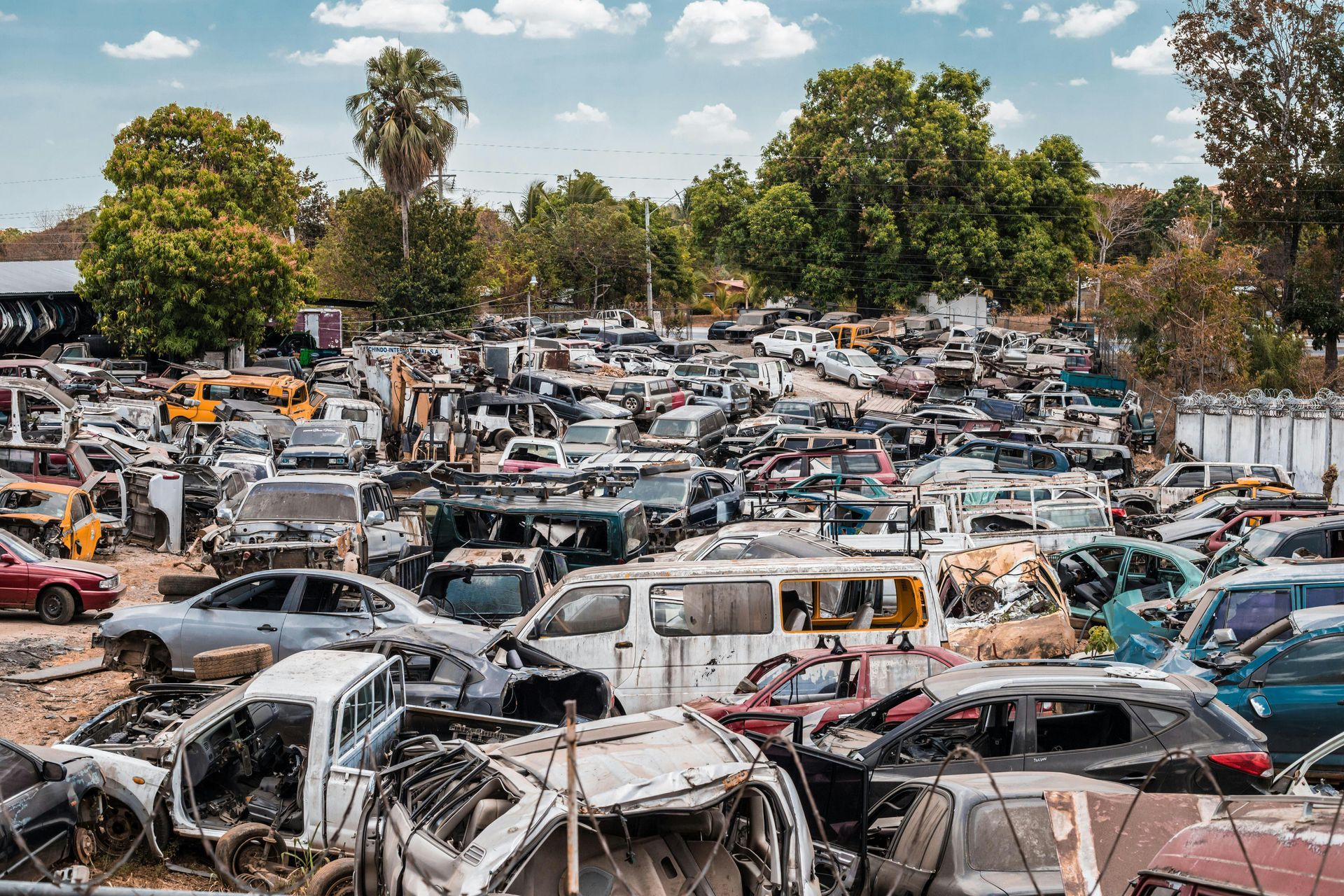 Junk yard filled with wrecked vehicles; various colors and models. Trees and blue sky visible in background.