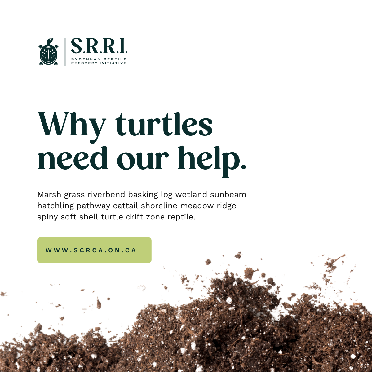 Ad promoting turtle conservation with text