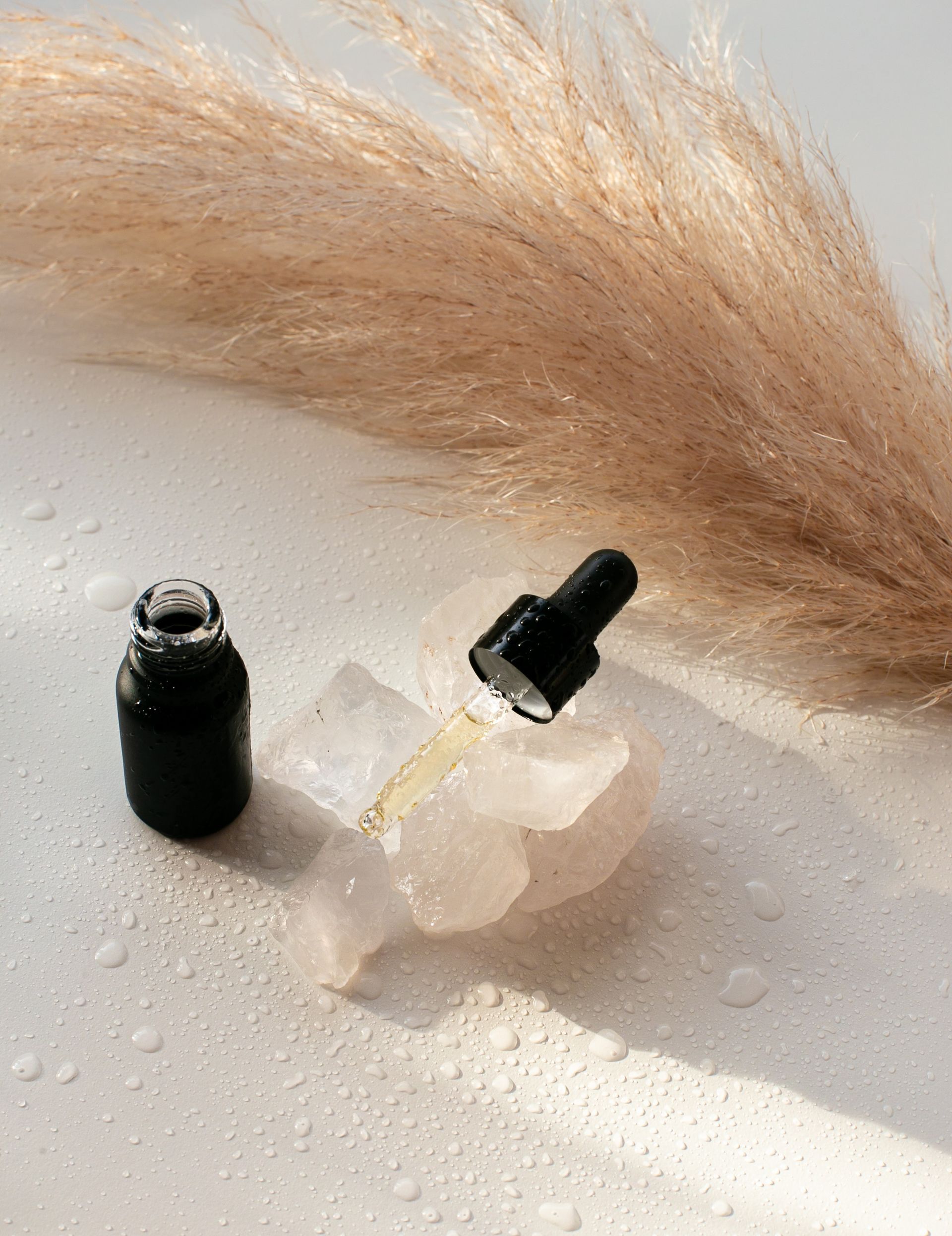 A bottle of essential oil is sitting on a piece of ice next to a plant.