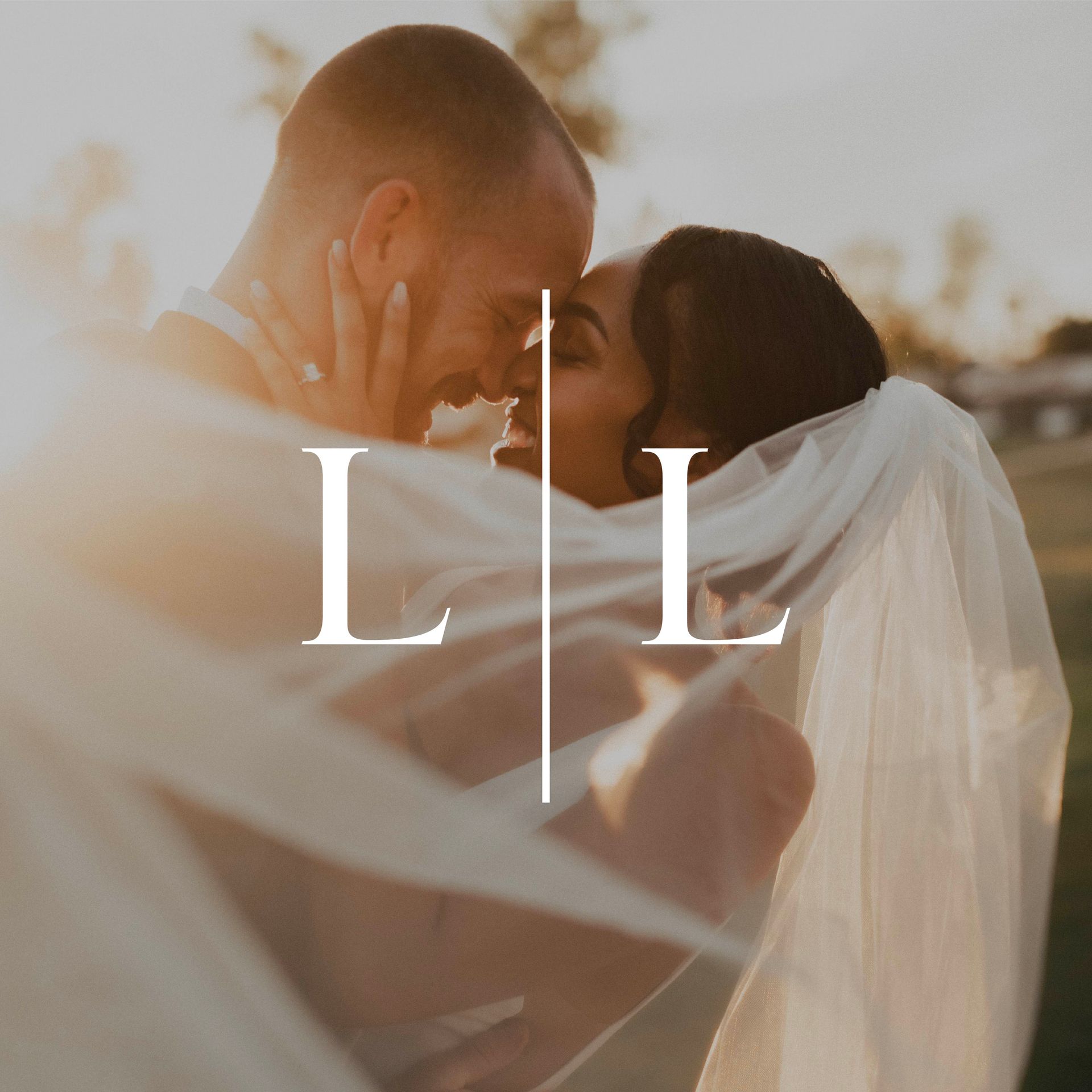 A bride and groom are kissing under a veil.