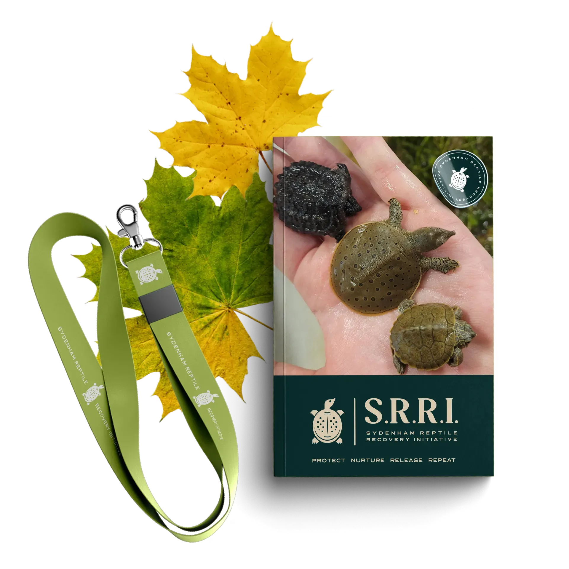 Green lanyard, book with turtles, and autumn leaves.