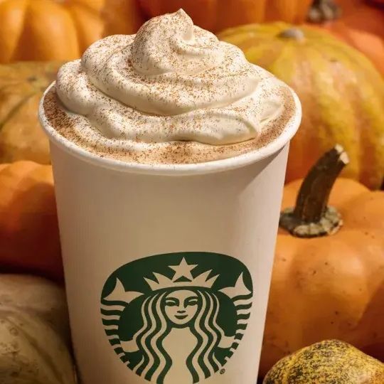A starbucks cup with whipped cream on top surrounded by pumpkins
