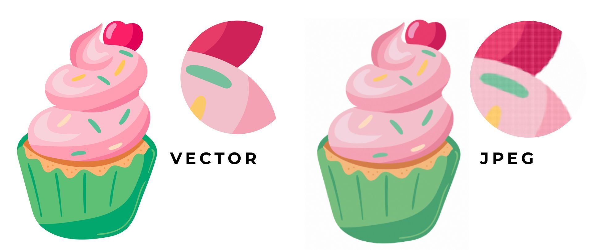 A cupcake with pink frosting and sprinkles on a white background.