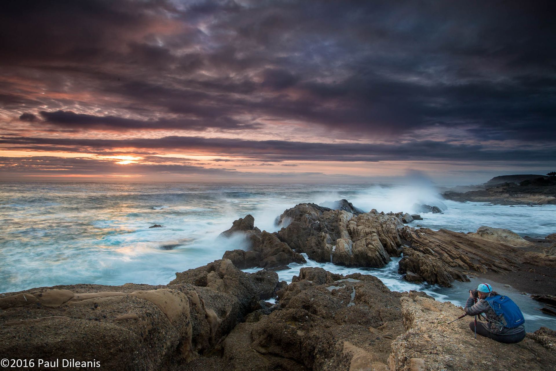 Point Lobos Photography Workshops