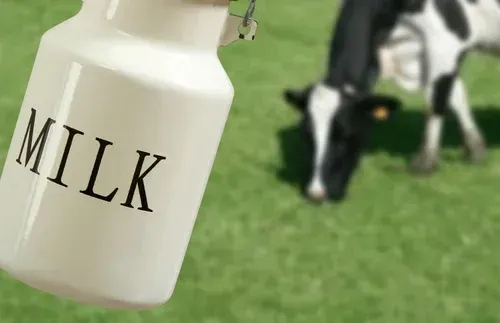 Milk Suppliers