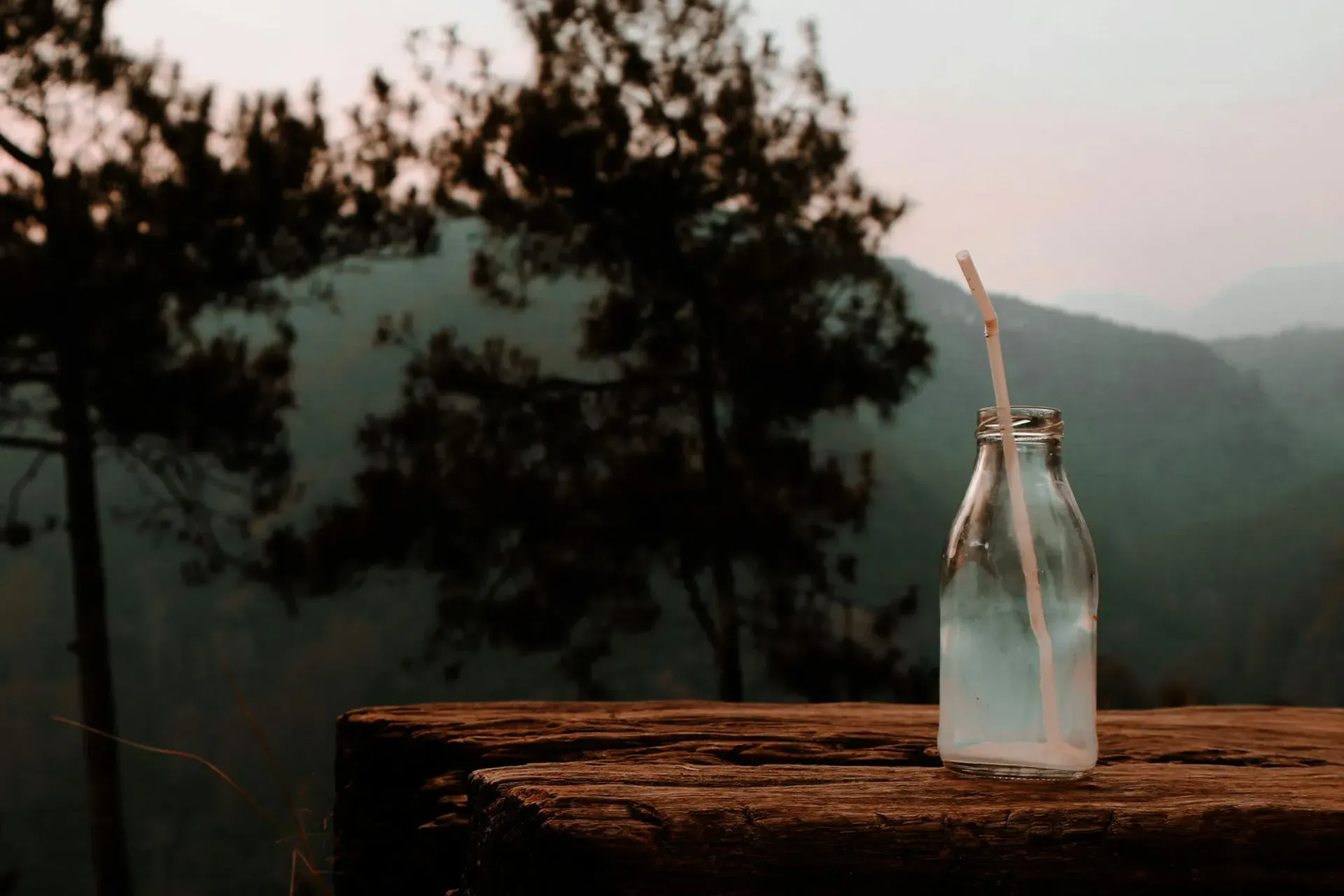milk bottles