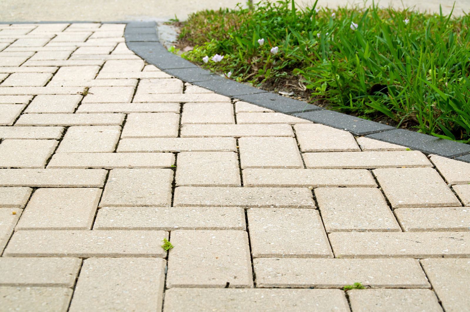 Curved garden path of light stone pavers beside a strip of green grass and plants